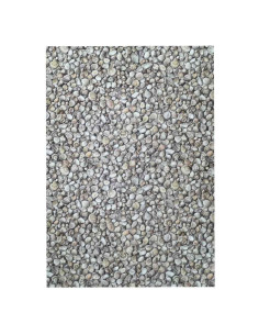 Alfombra Conchas 2