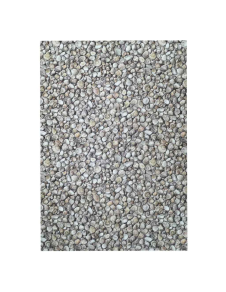 Alfombra Conchas (a medida)