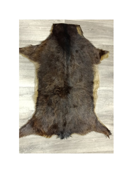Canary Goat Skin Rug 🐐1
