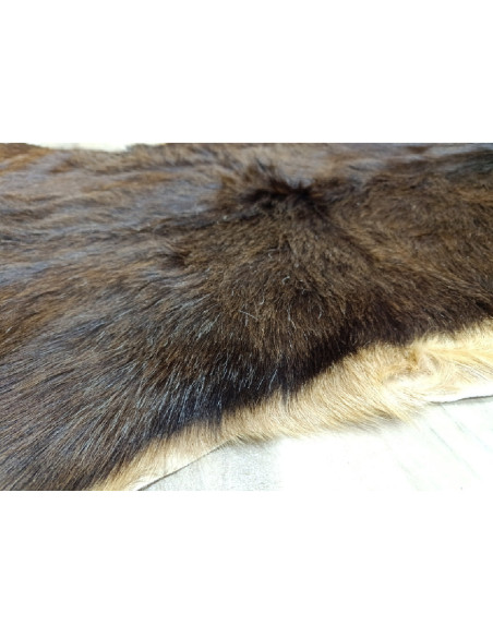 Canary Goat Skin Rug 🐐1