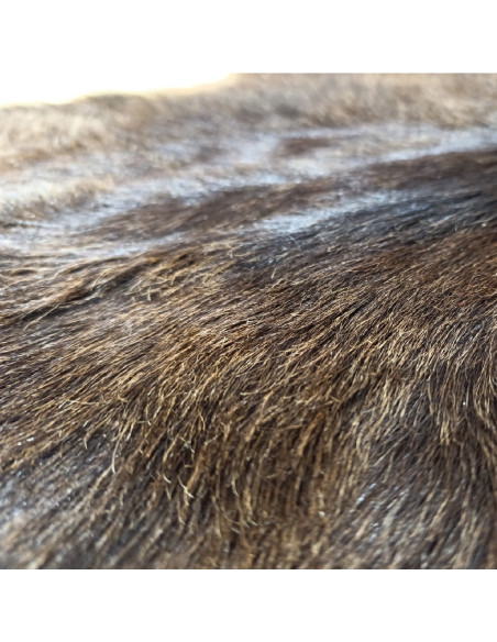 Canary Goat Skin Rug 🐐1