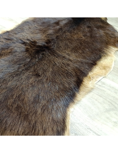 Canary Goat Skin Rug 🐐1