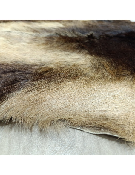 Canary Goat Skin Rug 🐐2