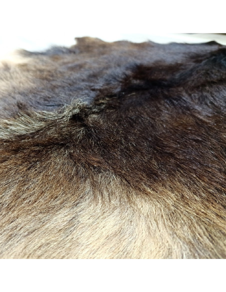 Canary Goat Skin Rug 🐐2