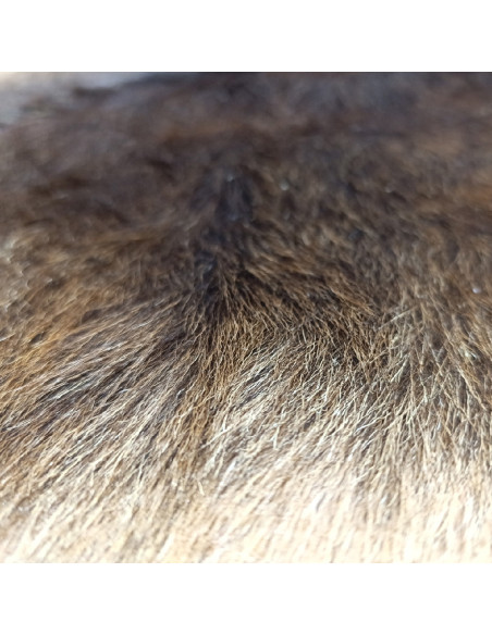 Piel de Cabra Canaria 🐐2