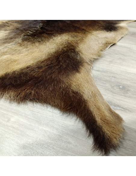 Canary Goat Skin Rug 🐐2