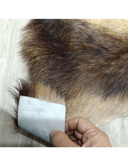 Canary Goat Skin Rug 🐐2