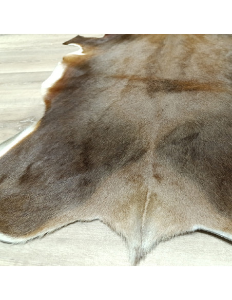Piel de Cabra Canaria 🐐3