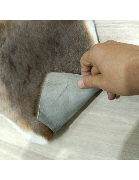 Canary Goat Skin Rug 🐐3