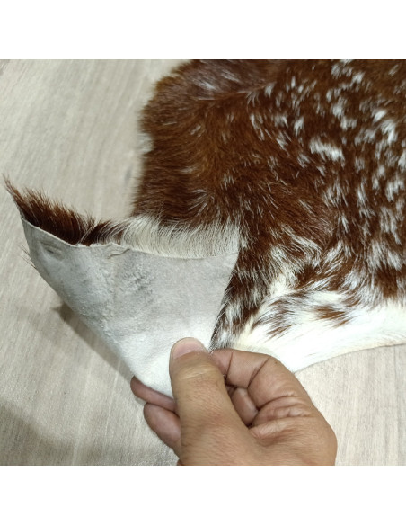 Canary Goat Skin Rug 🐐4