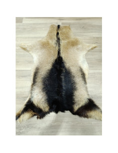 Canary Goat Skin Rug 🐐5 2