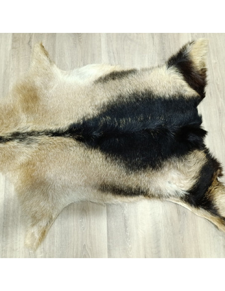 Piel de Cabra Canaria 🐐5