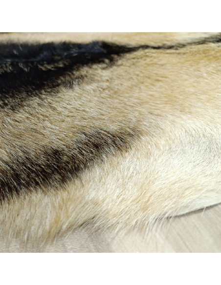 Piel de Cabra Canaria 🐐5