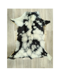 Canary Goat Skin Rug 🐐6 2