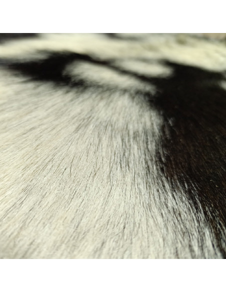 Canary Goat Skin Rug 🐐6