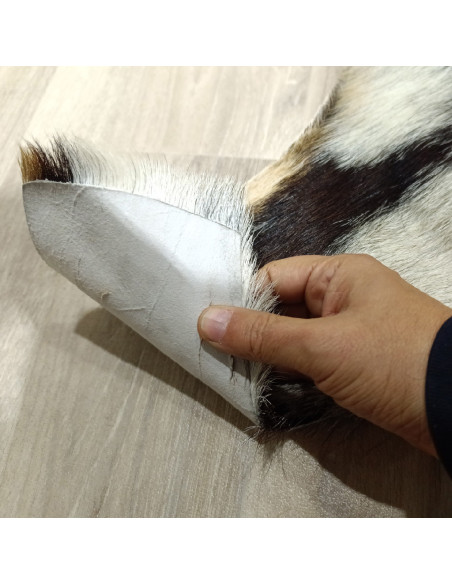 Piel de Cabra Canaria 🐐6