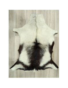 Canary Goat Skin Rug 🐐8 2