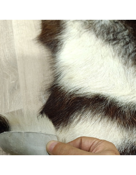 Canary Goat Skin Rug 🐐8