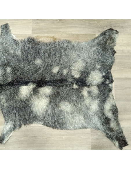 Piel de Cabra Canaria 🐐9