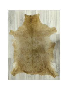 Canary Goat Skin Rug 🐐10 2