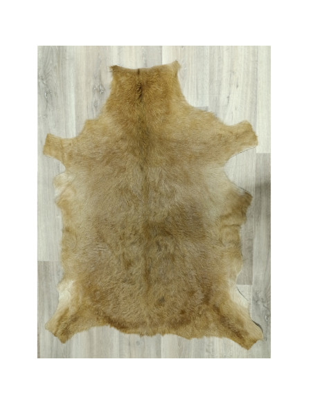 Piel de Cabra Canaria 🐐10