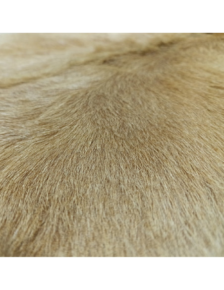Canary Goat Skin Rug 🐐10