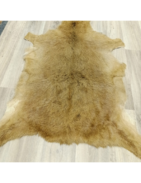 Canary Goat Skin Rug 🐐10