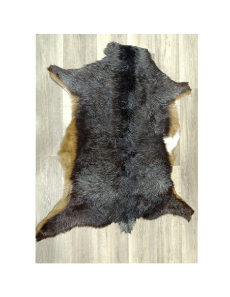 Piel de Cabra Canaria 🐐11