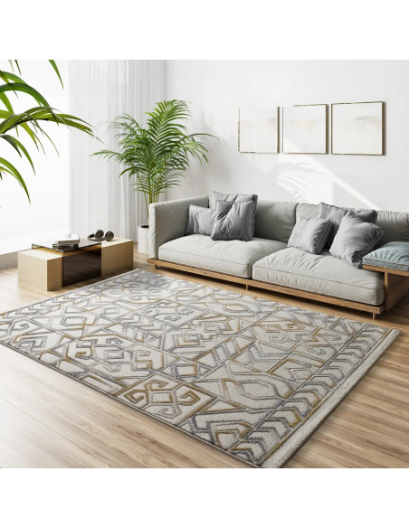 Alfombra étnica con relieve Amara 12989 Plata