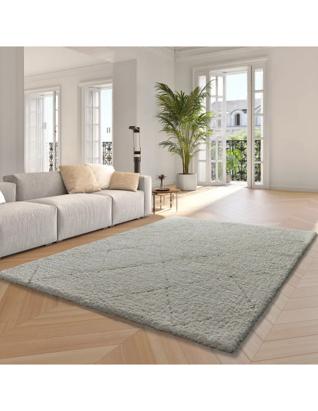 Atesa 80260 Rug