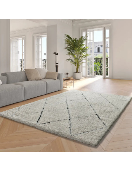 Atesa 80260 Rug