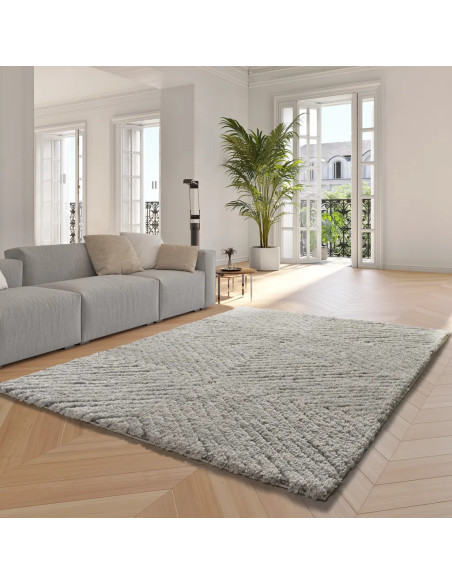 Atesa 80365 silver rug