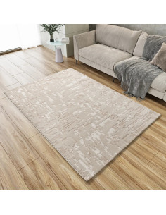 Baresa 12946 Beige carpet
