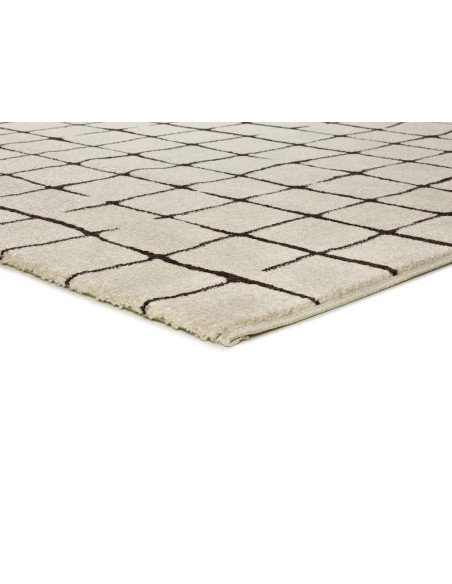 Retro Black and White Geometric Rug 12898
