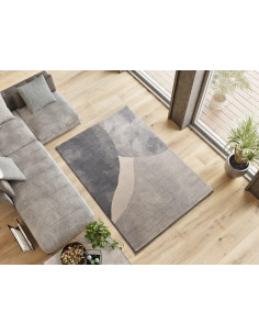 Alfombra con formas orgánicas Monic 12803 Plata