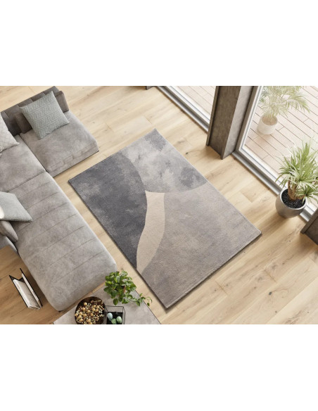 Alfombra con formas orgánicas Monic 12803 Plata
