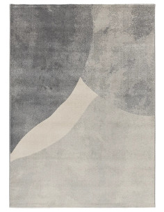 Monic 12803 Silver Organic-Shaped Rug 2