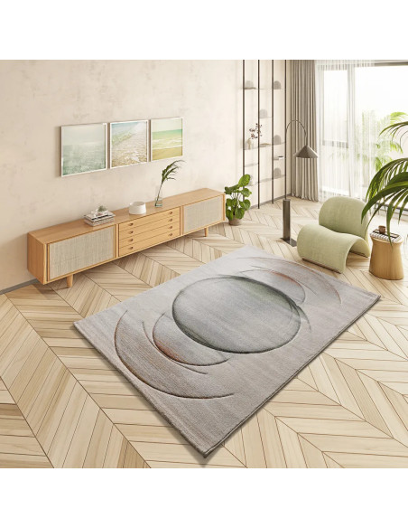 Modern rug Libet 40402 Multicolor