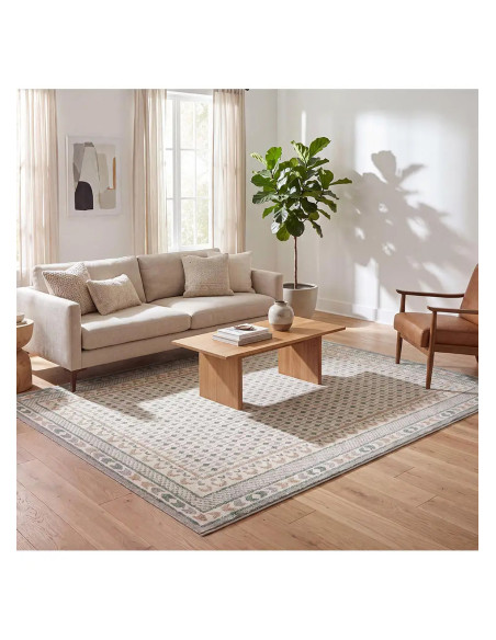 Astra 13013 vintage green and beige rug