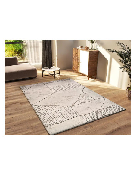 Ceres 54003 ethnic rug in cream and brown