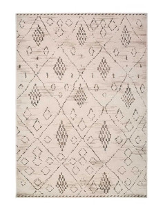 Ceres 54008 ethnic rug in cream and brown 2