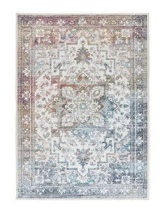 CLASS 23004 Multicolored Printed Vintage Rug 2